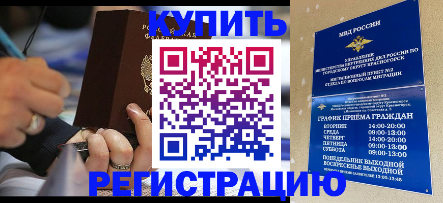 временная регистрация 2025 в Ельне